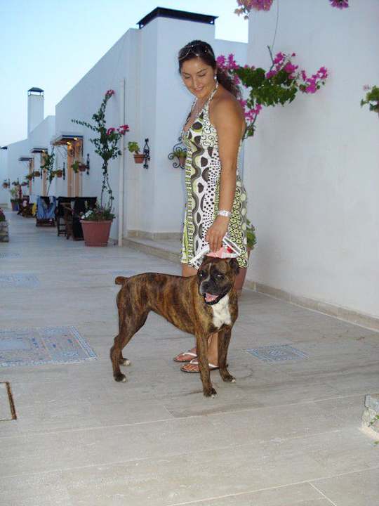 Süß nicht! Comca Manzara