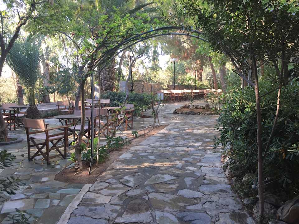 Gartenanlage Apollonia Beach Resort & Spa