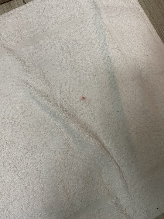 Zimmer Hotel Aloft Cancun