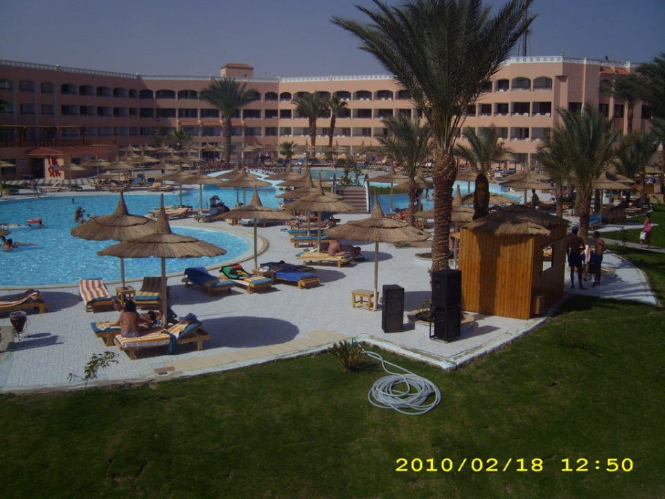 Pool mit Hotelanlage Beach Albatros Resort