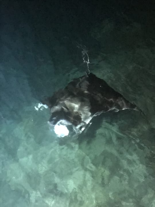 Sport & Freizeit Sun Siyam Olhuveli