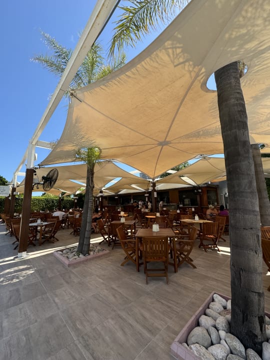 Pool Side Star Elegance