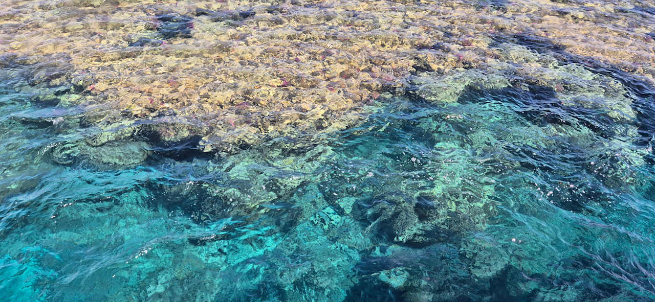 Strand Steigenberger Resort Alaya Marsa Alam - Red Sea - Adults only