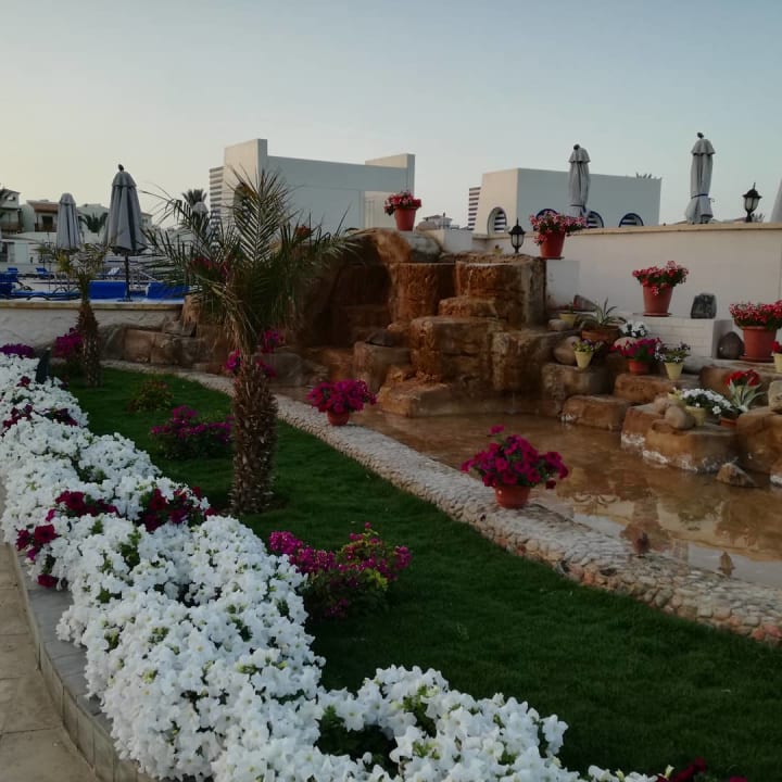 Außenansicht Pickalbatros Dana Beach Resort - Hurghada