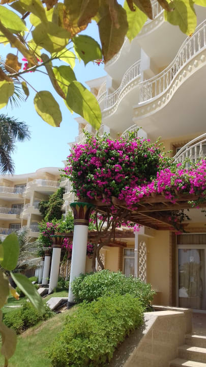 Gartenanlage Palm Royale Resort - Soma Bay