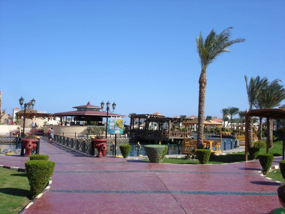 Poolbar Pickalbatros Dana Beach Resort - Hurghada