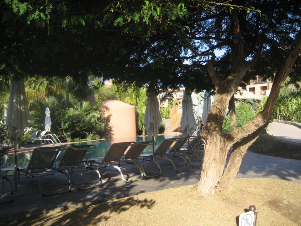 Garten und Pool Lopesan Baobab Resort