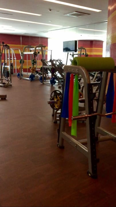 Sport & Freizeit Royal Seginus