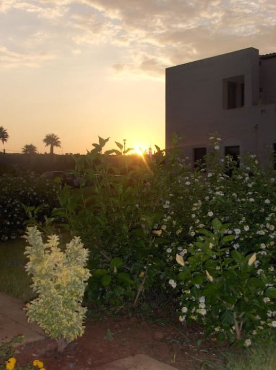 Sonnenaufgang Vivosa Apulia Resort
