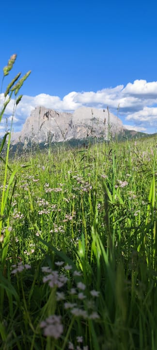 Ausblick Goldknopf alpine lifestyle hotel