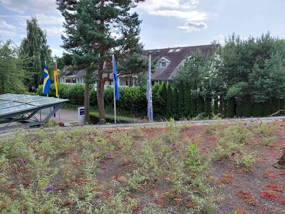 Ausblick Dorint Seehotel Binz-Therme Binz/Rügen