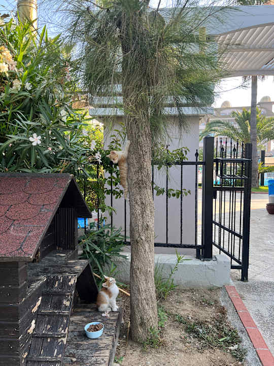 Außenansicht Aydinbey Kings Palace & Spa