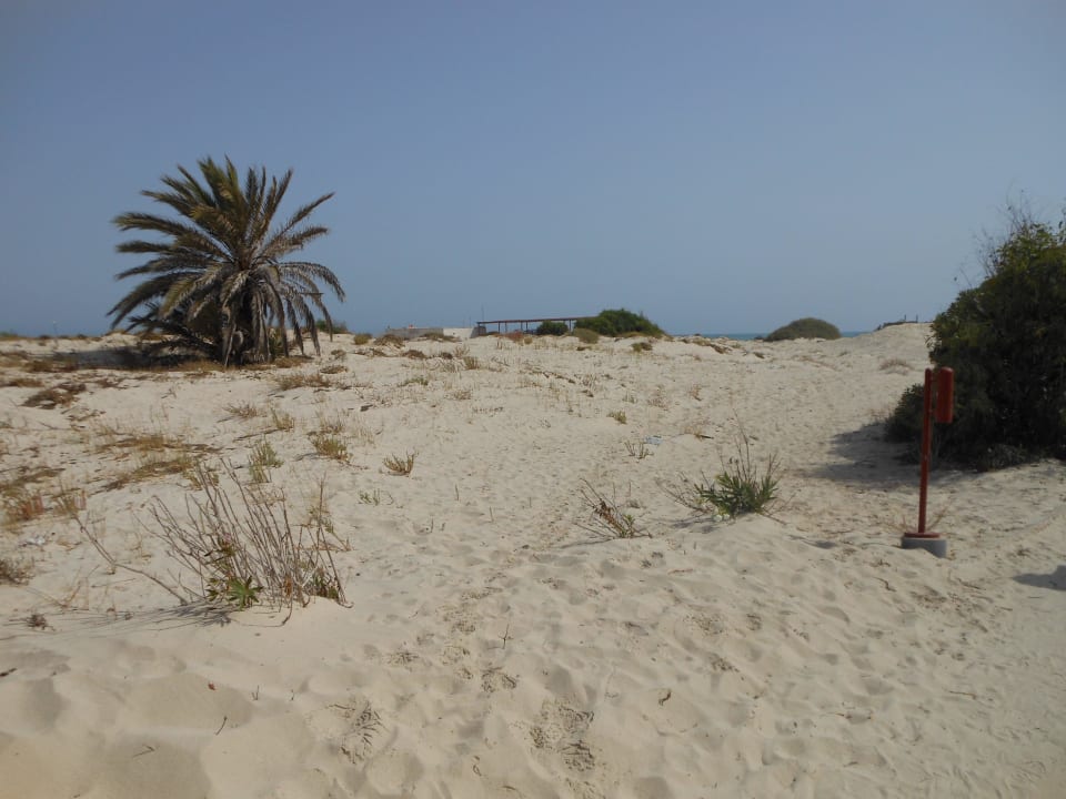 Weg zum Strand  500 m Djerba Aqua Resort