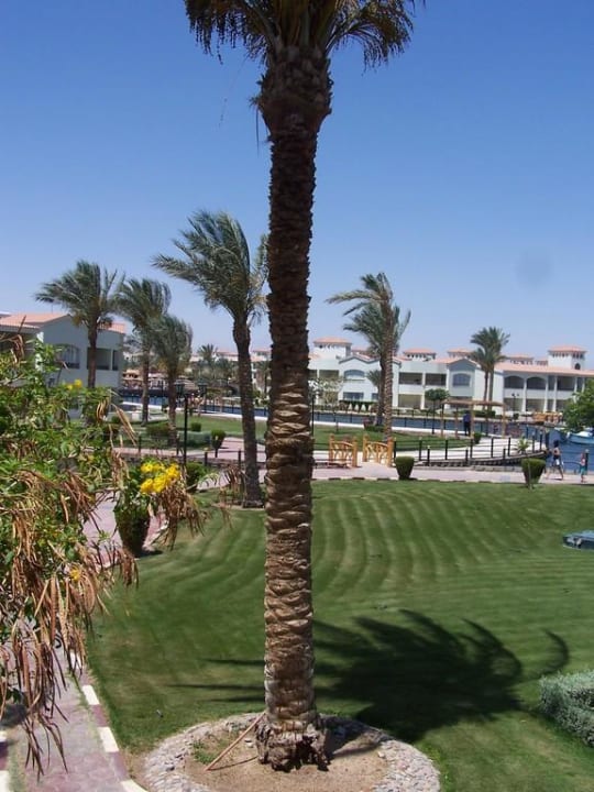 Garten Pickalbatros Dana Beach Resort - Hurghada