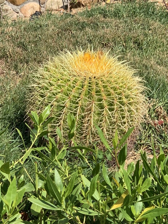 Gartenanlage Riviera Aqua Park Resort