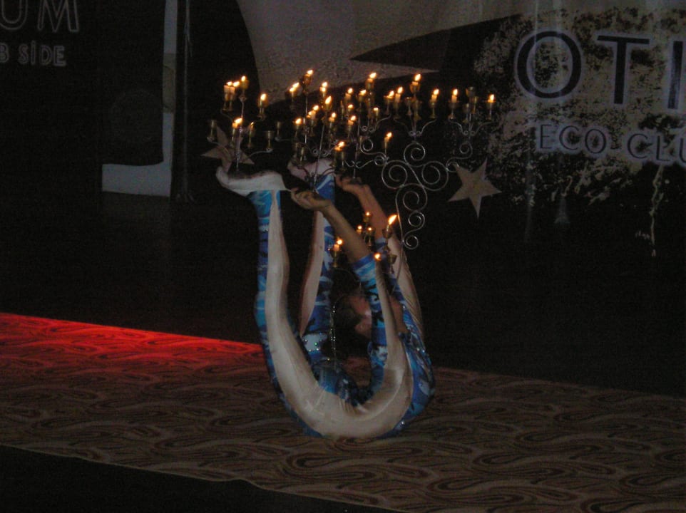 Animatie Marvida Family Eco