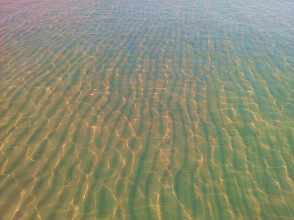 Sehr schöner Sand Iberostar Waves Ciudad Blanca