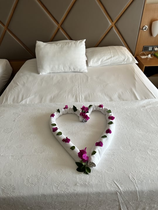 Zimmer Papillon Ayscha