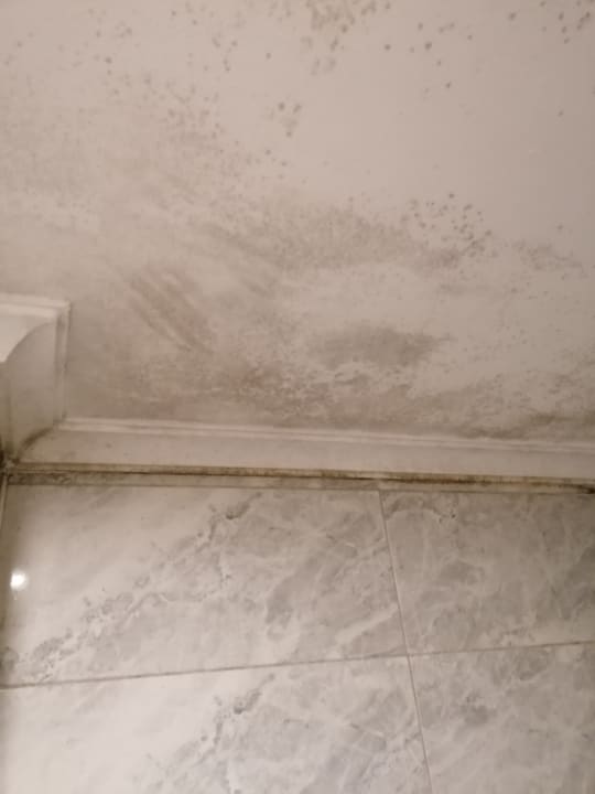 Zimmer Beyazit Palace Hotel & Spa