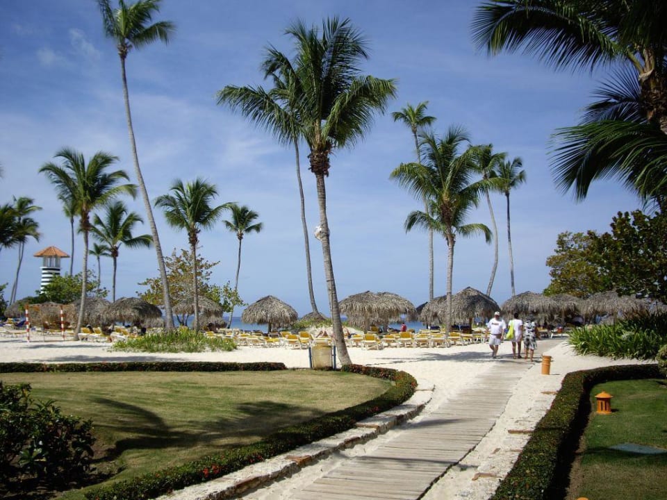 Hotelstrand Iberostar Selection Hacienda Dominicus