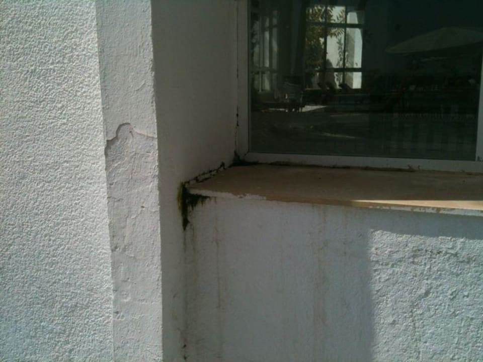 Die nette Bar mit Schimmel. Guten Durst! El Mouradi Club Kantaoui