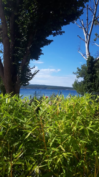 Ausblick Boutique Hotel Esplanade