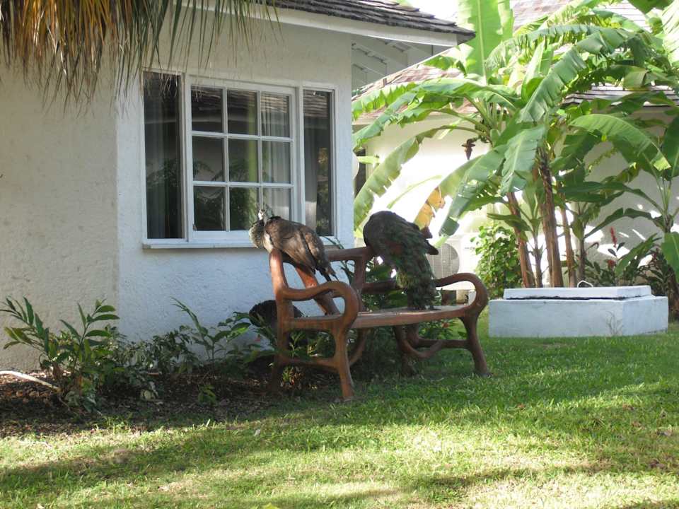 Bungalow Grand Muthu Club Caribbean Runaway Bay