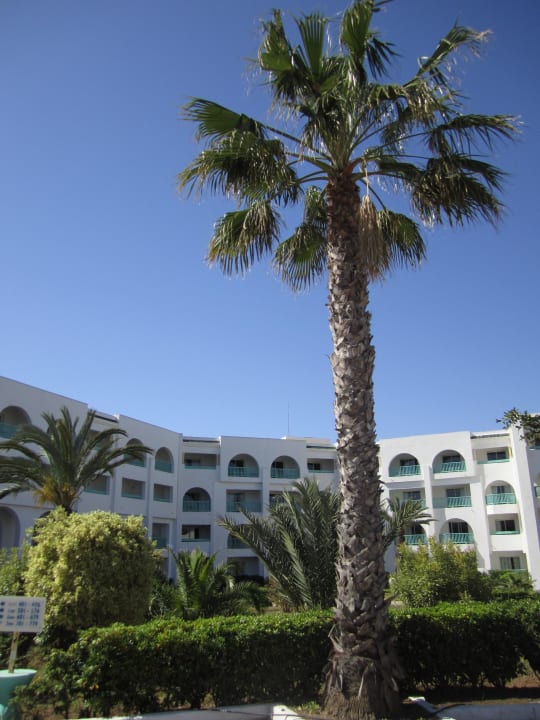 Hotel Hotel El Mouradi Skanes Beach