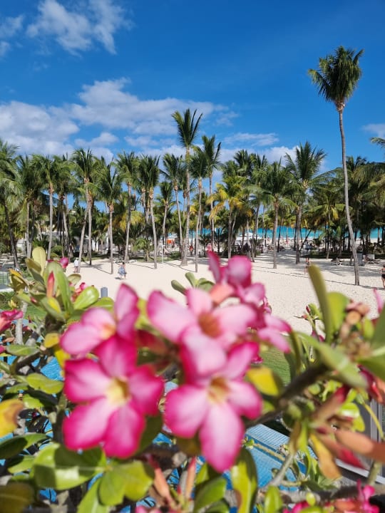 Strand Hotel Riu Palace Mexico