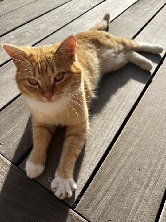 Sonstiges Salobre Hotel Resort & Serenity