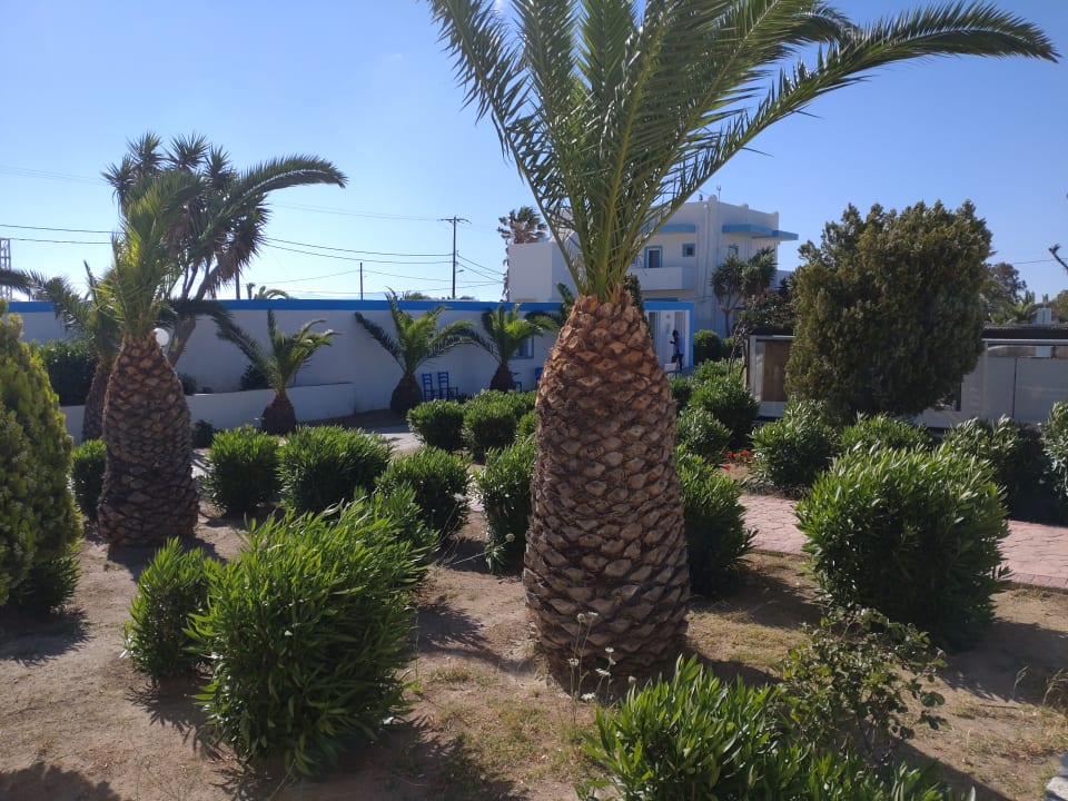 Ausblick Kalimera Mare