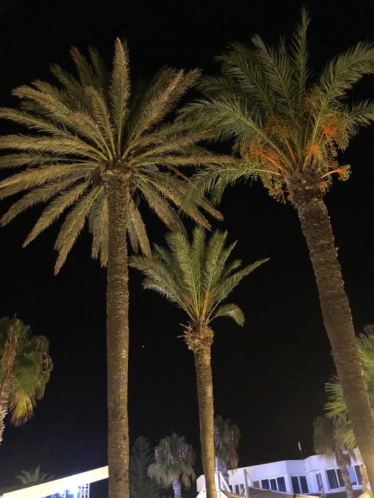 Sonstiges Marinda Garden Aparthotel