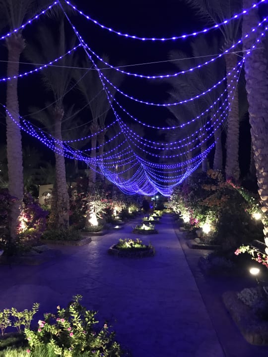 Gartenanlage Riviera Aqua Park Resort