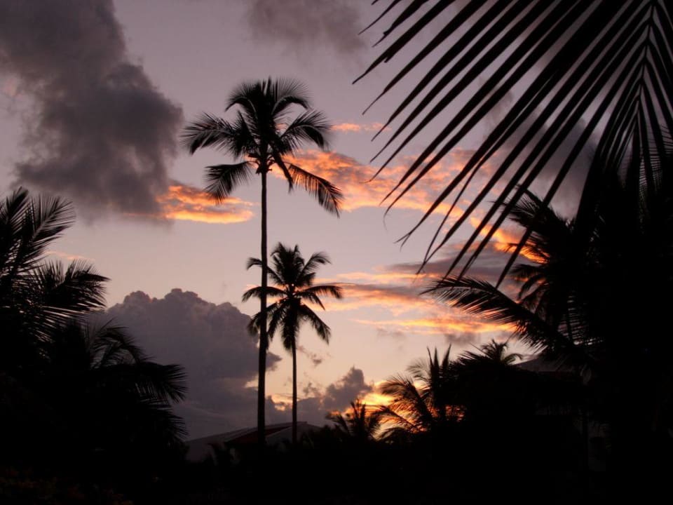 Sonnenuntergang Occidental Punta Cana