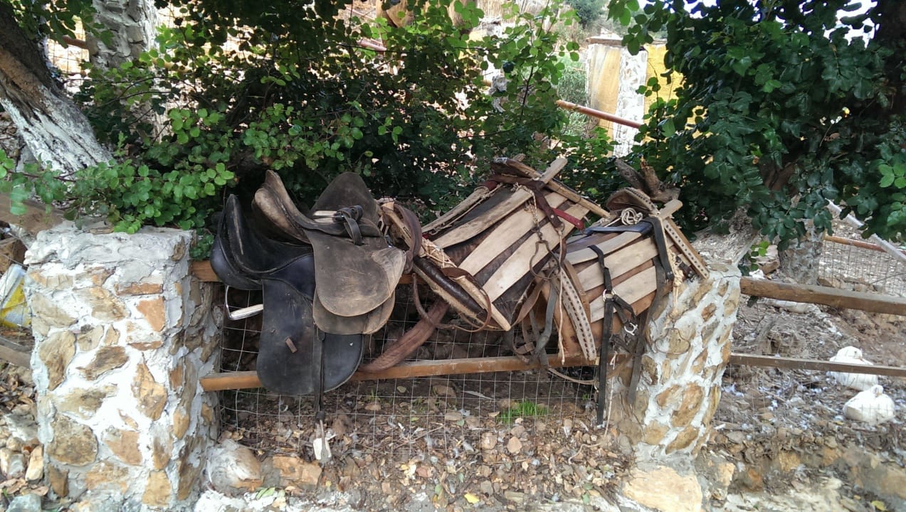 Alt aber funktional Stone Village Petrino Horio