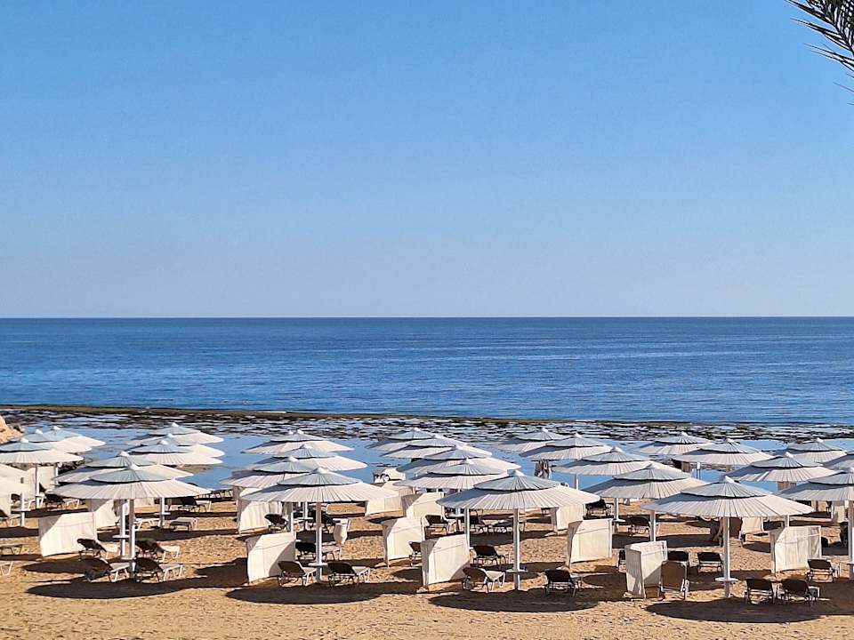 Strand JAZ Neo Reef Marsa