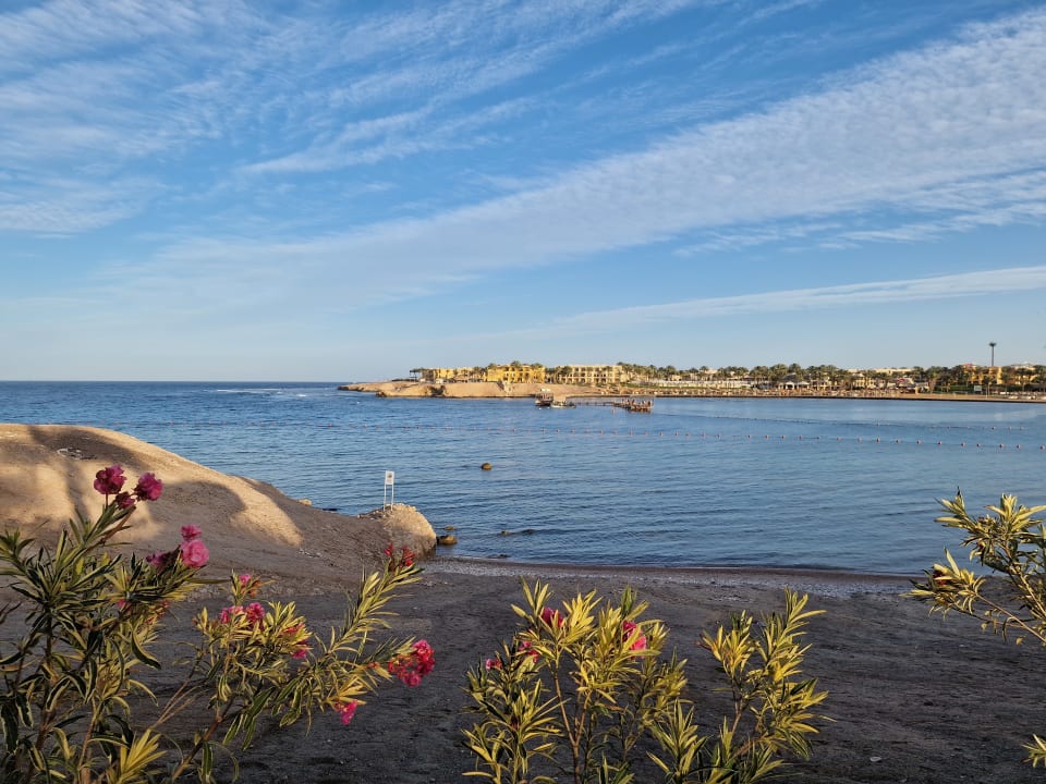 Strand Steigenberger Coraya Beach - Adults only