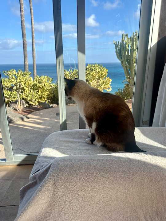 Ausblick ROBINSON ESQUINZO PLAYA