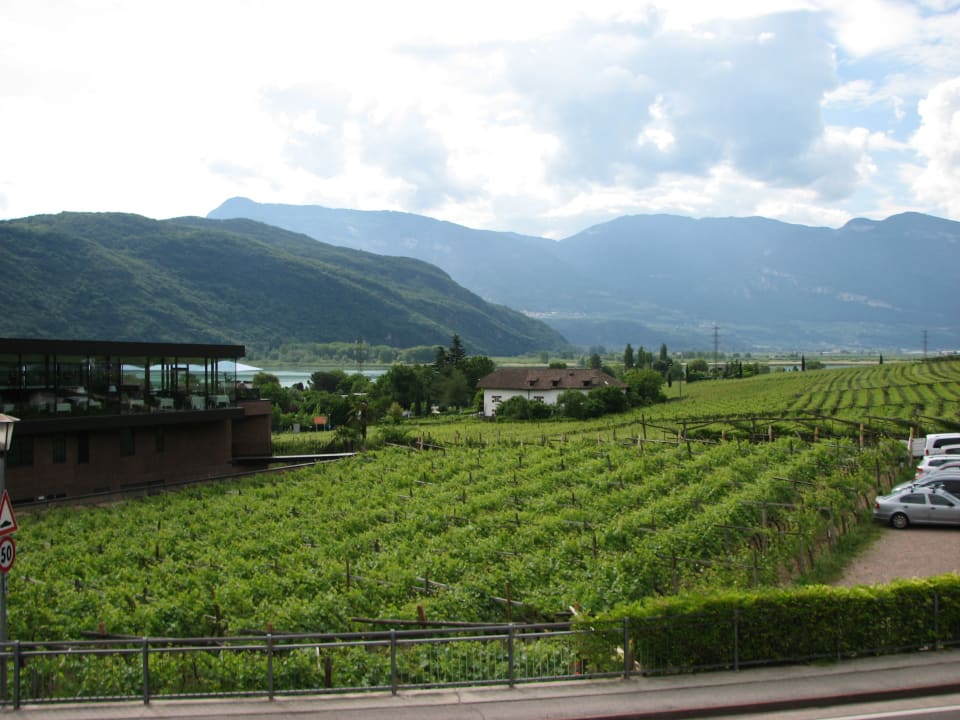 Ausblick Seeperle Landgasthof