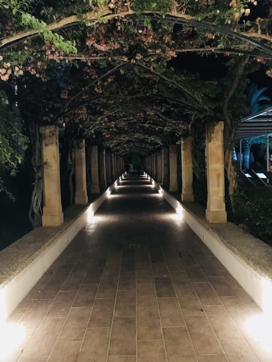 Gartenanlage Hotel Rosella by Intelier