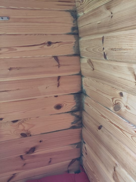 Zimmer Waldferienpark Gerolstein