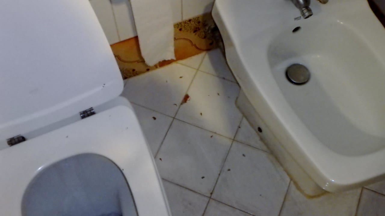 Dirty Sol Rio De Luna y Mares