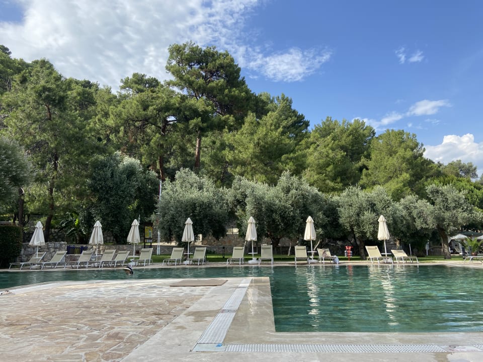 Pool TUI BLUE Seno - Adults Only