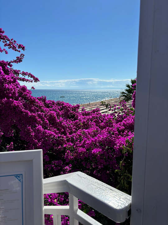 Sonstiges Can Garden Resort