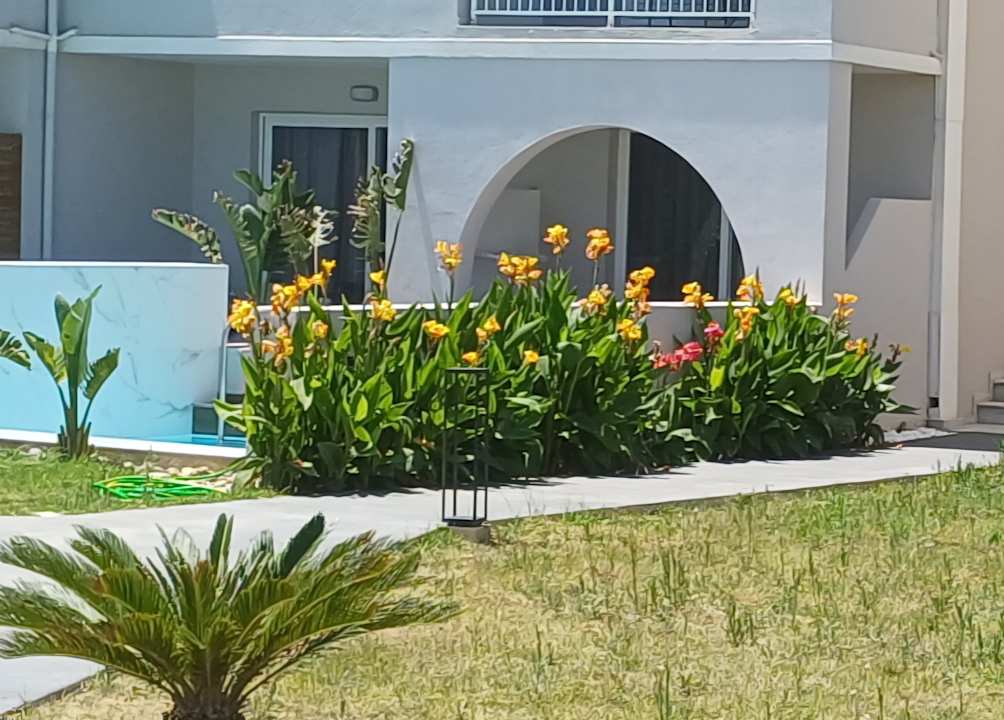 Gartenanlage Delfina Tropic Beach