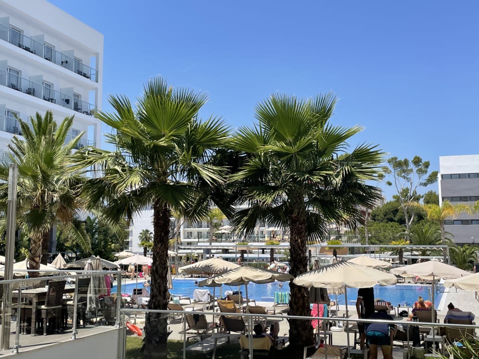 Pool Hotel Riu Playa Park