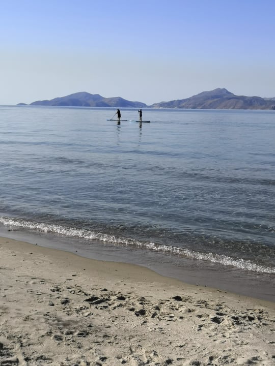Strand Palladium