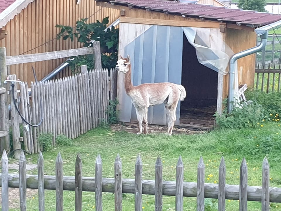 Sonstiges Familotel Der Böhmerwald - Euer Familienhotel im Bayerischen Wald