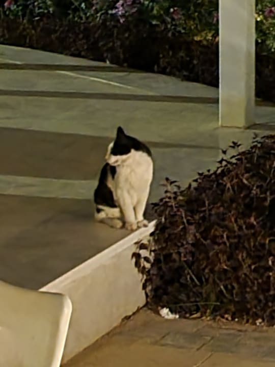 Sonstiges Pickalbatros Dana Beach Resort - Hurghada