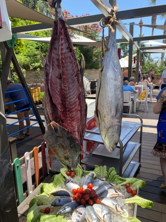 Gastro The Sense Deluxe Hotel